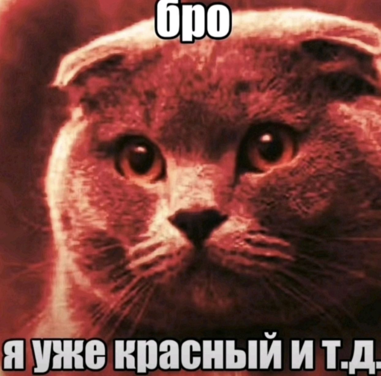 Аватар клана КОТАКБАС