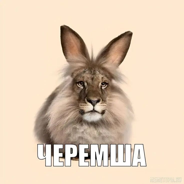 Аватар клана
