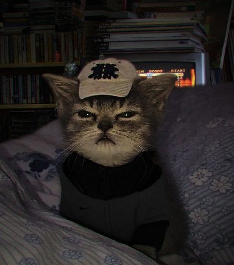 Аватар клана vpotoke