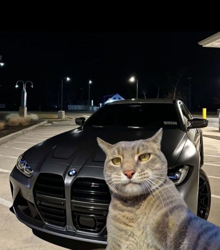 Аватар клана Premium kl@n